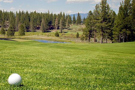 lake tahoe rental - golf